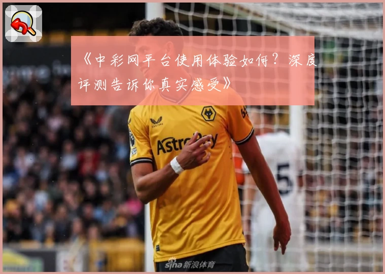 《中彩网平台使用体验如何?深度评测告诉你真实感受》