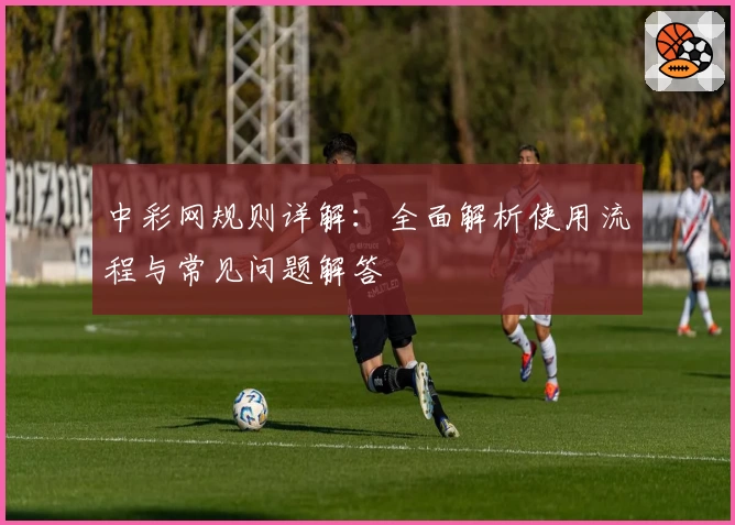 中彩网规则详解：全面解析使用流程与常见问题解答