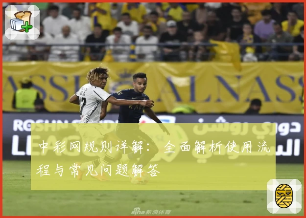中彩网规则详解：全面解析使用流程与常见问题解答